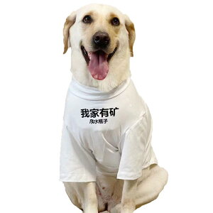  ĕ 傫TCY ₷ ^  ybgpi TVc ʋC K  hbO EFA uh[ S[fgo[  o zCg S Vv