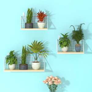 EH[VFt  ƒp rO Q [ bN Ǌ| ֗ u  傫  A Zbg `  Vv