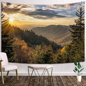 ^yXg[ R i R wi ̏o z Q rO[   tl Ԃ牺 fR[V CeA Ǌ| 唻 `