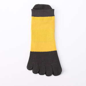 5{w\bNX Y t   hL z ʋC  K bV ɂ X|[c W[ ig F  