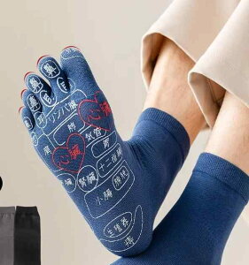 5{w\bNX Y ڌC am tbgPA N hL z }bT[W  v[g ̓ p   