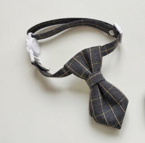  L ^ ybgpi ʂ ANZT[ lN^C obN TCY߉\ ʐ^Be  o p  `FbN 