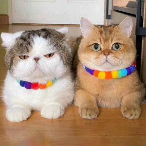  L ^ ybgpi ANZT[ lbNX || TCY߉\ ʐ^Be  o 킢 Jt F sN 