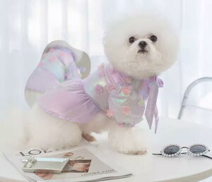  ĕ XJ[g efB rV ybg  ^ |jA ViEU[ JWA  ԕ LL t 킢 t ̎q