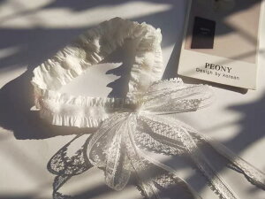 `[J[ fB[X  K[[ GKg i l [X { lbNX ANZT[ uC_ EGfBO ʐ^Be