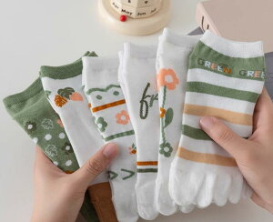 C fB[X t 5{w\bNX   z Eh~ ʋC X|[c ԕ {[_[ 킢 Xj[J[ 4  O[ sN