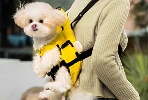  Ђ op AEghA ybgbN L 傫TCY tbN {^ obN ֗ ObY  sN   p_