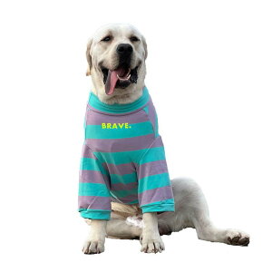    ybg ^ ^ ^ XgCv TVc  ʋC  U o JWA ^[vg 킢  