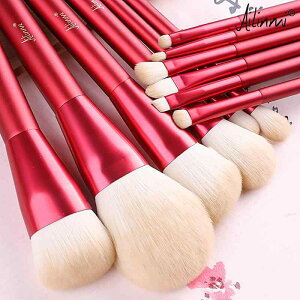 CNuV Zbg  RX e fB[X ӂӂ _炩 g₷ ACVhE pE_[ t@f[V Vv