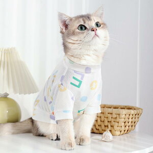 �� �ĕ� ���킢�� ��������� �L �y�b�g ���� ���b�V�� �ʋC�� ������ �y�� ���� T�V���c ���E���h�l�b�N �z���C�g �O���[�� �J���t��