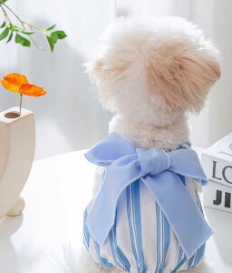  ĕ ̎q m[X[u ybgpi hbOEFA  ^ _炩 ʋC ɗD  U 킢 gCv[h |jA }`[Y XgCv {  F