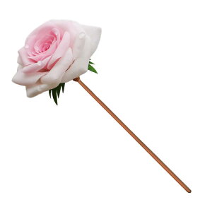 񂴂  wAANZT[ ώq o QϐF Iy  `Ci  a 