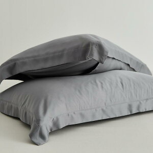  Jo[  Ђ ڐG⊴ K z ʋC _炩 炩 Q VO s[P[X \ Vv O[  sN