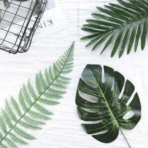 Be   k tFCNO[ t 莝 CuzM RX ANZT[ ʐ^ f i CeA G fBXvC  V 