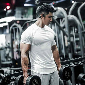 tVc }b` Y tBbglXEFA  t   ʋC Lk EhlbN gbvX S jO g[jO ؃g JWA  傫TCY 