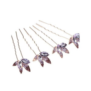 wAs fB[X 炫 U^  AeB[N   p[eB[  wAANZT[