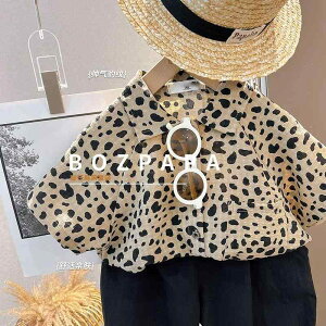 LbY Vc j̎q   ʋC Xg[g qE   |GXe JWA ̌^Jo[  ł  Zp Zbg ؍