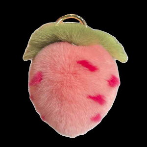 ʂ݃L[z_[ tbN  ӂӂ L[`F[ obO`[   sN   l fB[X 킢