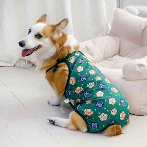 �� �T�j�^���[�p���c �R�[�M�[ ���^�� ��^�� ���� �p���c �y�b�g ���X ���킢�� ���̎q ���K �t���[�c �I�����W �X�C�J ��