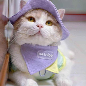  Xq 悯 L ybgpi t Ăh~ R o ʋC AEghA U O Zbg o_i  JWA  J[ubN   