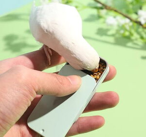  GT a  t[h{bNX tB[_[ g Ў ȒP XCh o g[jO  IE  sN   pXeJ[