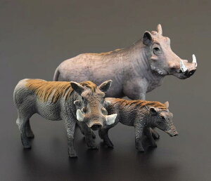 A  tBMA AtJ 쐶 C{CmVV mߋ ̐} ͌^  q ~j`A RNV CeA v[g  Aj} O[ PVC