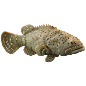 Cm tBMA A PVC 􂦂 q v[g Aj} c FmB mߋ  ~j`A fBXvC RNV u L n^