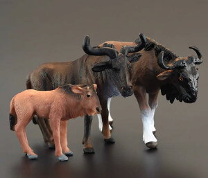 A  tBMA k[ AtJ Aj} 쐶 ͌^ ~j`A mߋ ̐} q  RNV CeA v[g  F PVC