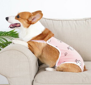 犬 サニタリー パンツ おむつ 大きいサイズ 夏 メス 月経 生理 エチケット 衛生 避妊 防交配 対策 セット パッド ピンク 黄色 木 魚 ホルターネック