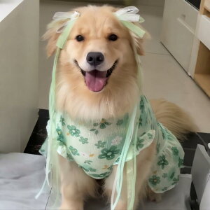  hbOEFA ^ S[f uh[ t  |GXe ڐG⊴ ʋC іh~ UVJbg Ăh~ [htbNt 킢 vZX s[X