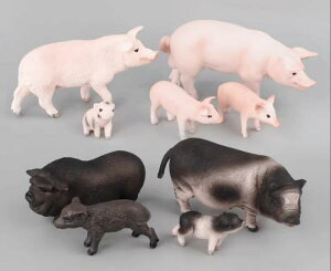 A  tBMA 킢 u^  ~j`A ͌^  q ̐} RNV CeA Mtg mߋ 쐶   l` PVC