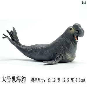 A  tBMA RNV Cm k ~j`A ̐} q mߋ l` Aj}  쐶  CeA v[g AVJ IbgZC AUV PVC