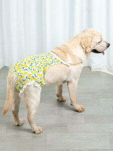 犬 サニタリー パンツ 月経 ゴールデンレトリバー 大きいサイズ 黄色 赤 緑 ボーダー いちご リボン かわいい おでかけ 快適 横漏れ防止 おむつ