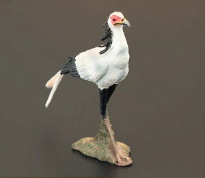 A  tBMA f Aj} ~j`A  mߋ  쐶  q RNV CeA ̐} l` v[g nQV PVC