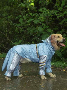  CR[g |` ₷ ^ ^ ybg h h ʋC ϋv Ԕ J Jbp t[h hbOEFA 4 KJo[ O\  Gɂ [h n[lX 