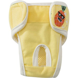  Tj^[ pc X ybgpi  p ivL Ђ  ʋC ʃt@Xi[ pCibv  Vv 킢 _炩 傫 bV  F 