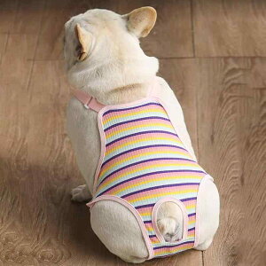  Tj^[ pc ނ 傫TCY X o  G`Pbg q D hz ΍ pbh sN F C{[ ڋʏĂ Ђ悱 H