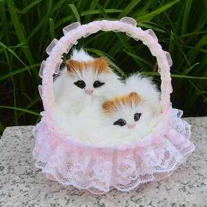 ʂ L A LETM r 킢  v[g t[oXPbg q  j̎q ̎q a NX}X