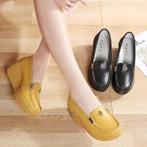 EFbW\[  [t@[ ʋ ₷ ɂ fB[X V[Y 傫TCY y y K ~ _炩 PUU[ ʋC  EhgD  JWA