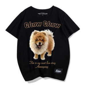 vg TVc Y fB[X   JWA  傫TCY `E`E jp Jbv ߑ  EhlbN O[ ubN bh