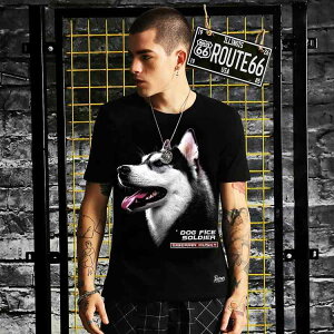 vg TVc Y fB[X   JWA  傫TCY gbvX t@~[ qp nXL[  EhlbN  Jbv ubN