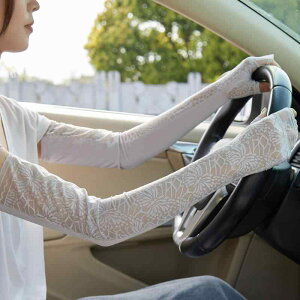 A[Jo[ Ă΍ fB[X Oh~ 悯 t Ђ ~ ʋC ] hCu AEghA  O sN x[W O[ 