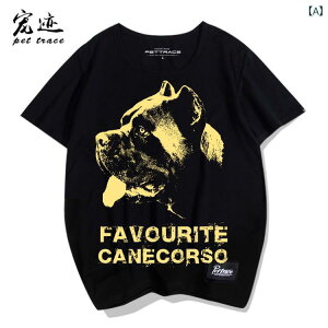  vg tVc   fB[X Y Jbv   EhlbN     [Y 傫TCY l XXXL jZbNX LX[