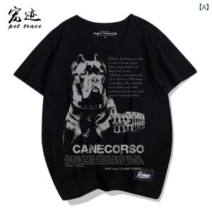  vg tVc  fB[X Y     EhlbN Jbv JWA 傫TCY l   S M XXXL jZbNX JX[