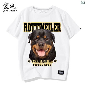  vg tVc   bgC[     [Y Y fB[X Jbv jZbNX   EhlbN  傫TCY l