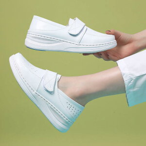 i[XV[Y ɂ fB[X \tg\[ _炩 I[V[Y ʋC hL ɂ Ōt  NjbN a@ ItBX d Vv EhgD 傫TC