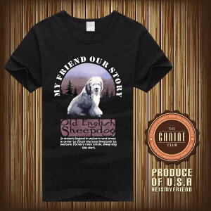 TVc  I[hCObVV[vhbO  Y fB[X l  JWA  Aj} vg  EhlbN [Y  Rbg gbvX AJW 