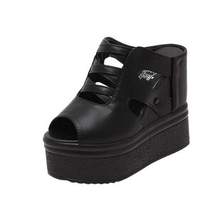 ₷ fB[X T_   tBbV}EX nCq[ obNX r ɂ VbsO JWA   