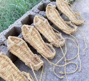 炶  D Y  g T_  fB[X ʋC ҂ݏグ LbY ` ߑ  Be ㌀  H|i