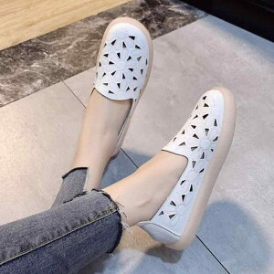 d C ɂ fB[X   EhgD ʋC _炩 ɂ HX ItBX     x[W